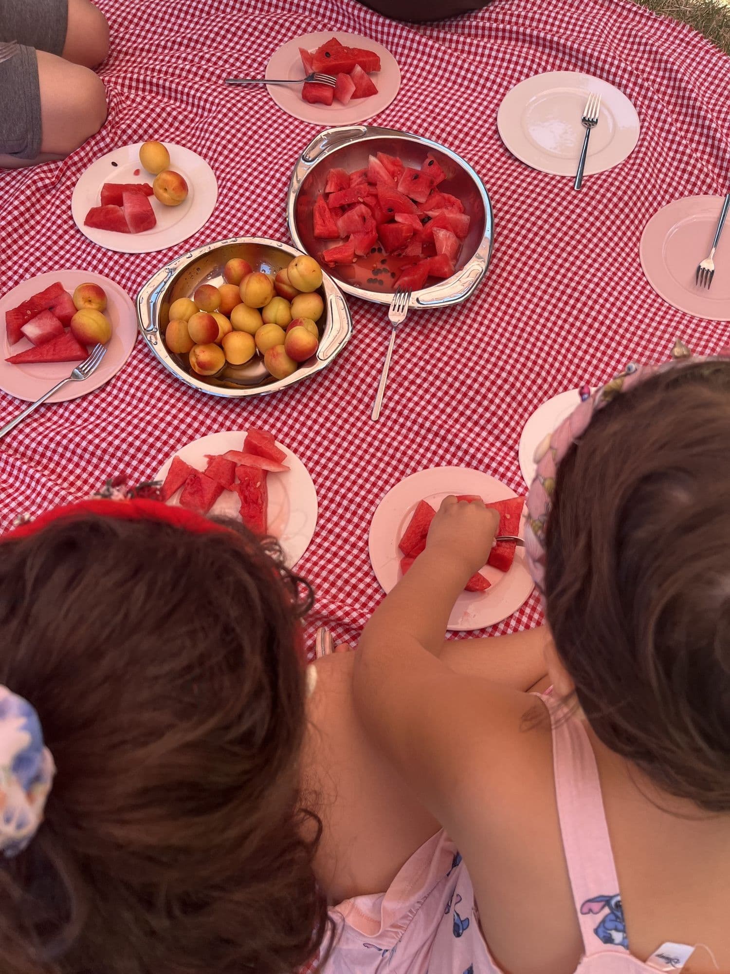 Bahçede meyve pikniği – Neşeli Kuzu Anaokulu, Uskumruköy Sarıyer